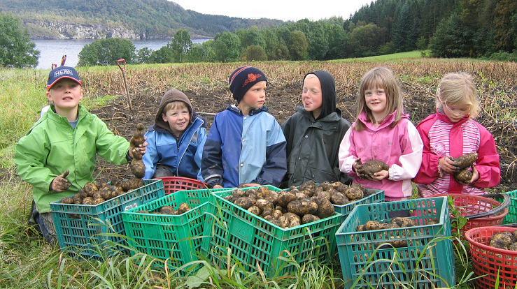 Skaperverkets dag kan markeres  med høsttakkefest og poteten i sentrum. (Foto: Kirkerådet)