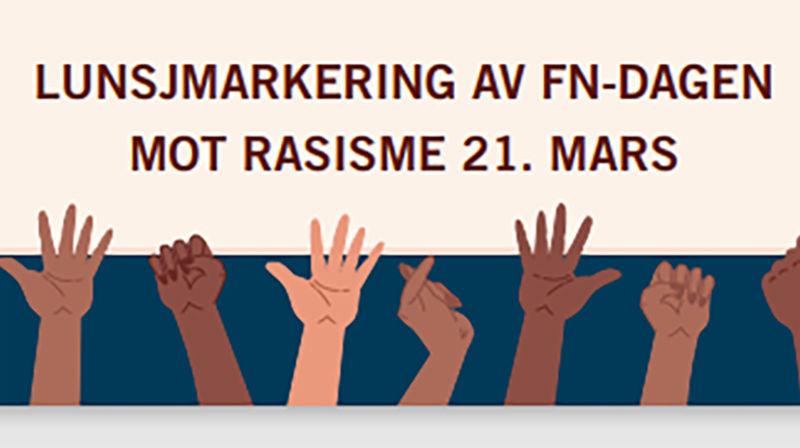 Lunsjmarkering av FN-dagen 21. mars.