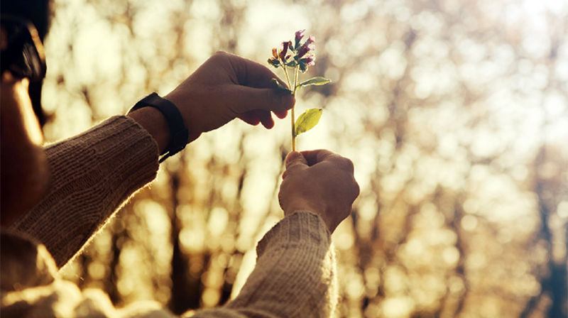 Menneskerettighetssøndagen 2018