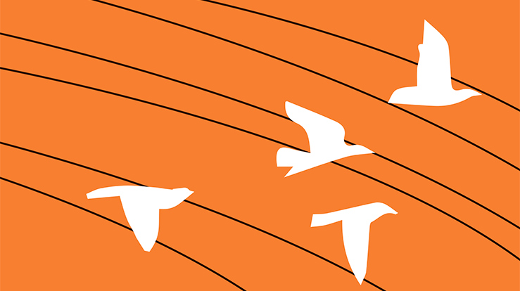 Rettferdighet i verden