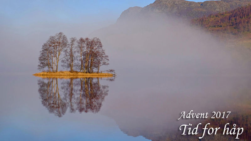 Foto: Trygve Berget