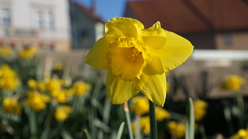 LA OSS FYLLE KIRKEN IGJEN!
