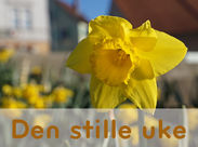 Den stille uke