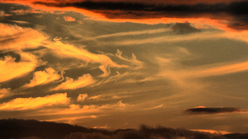 Pinsens visjon for menneskeheten