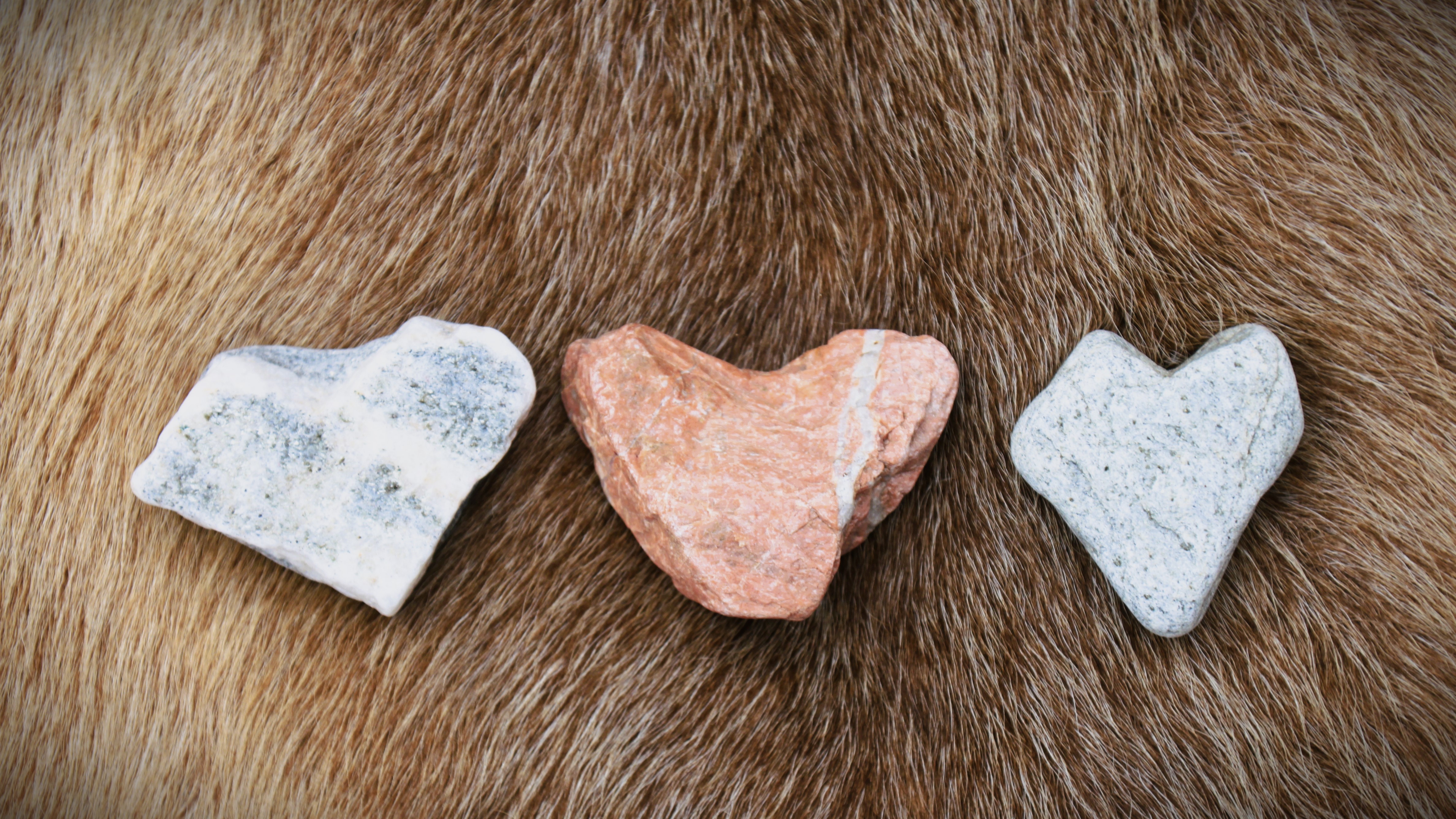 Photo: Sami Church Council