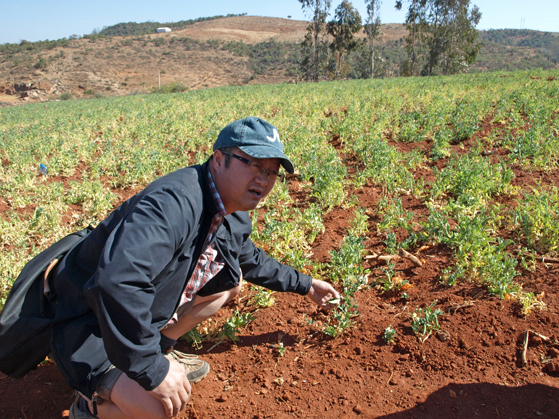 Grønne misjonsprosjekter