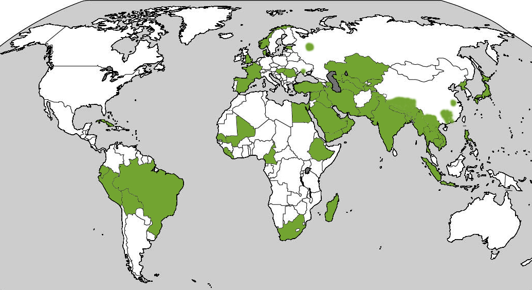 Her arbeider organisasjonene tilknyttet SMM