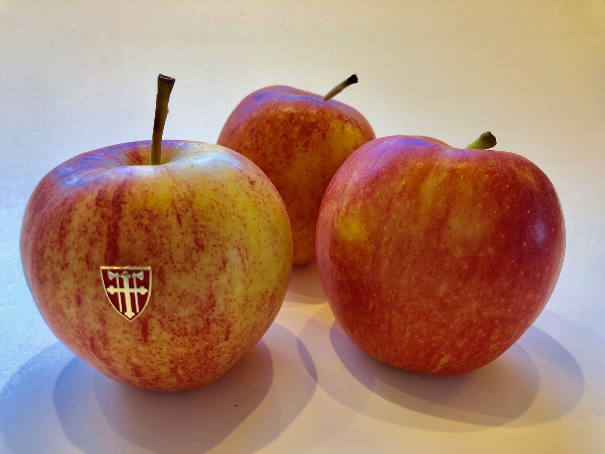 Lettere å sammenligne epler med epler