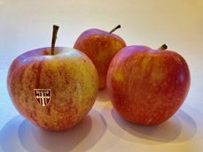 Lettere å sammenligne epler med epler
