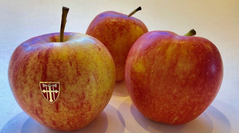 Lettere å sammenligne epler med epler