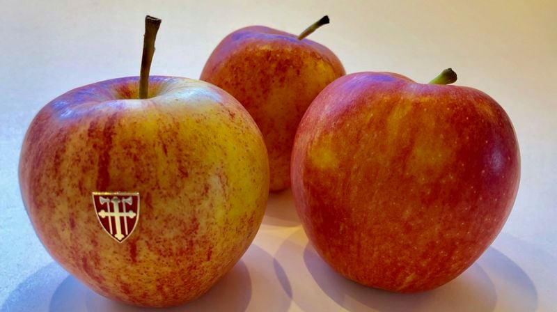 Lettere å sammenligne epler med epler