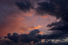 Foto: Lars Verket